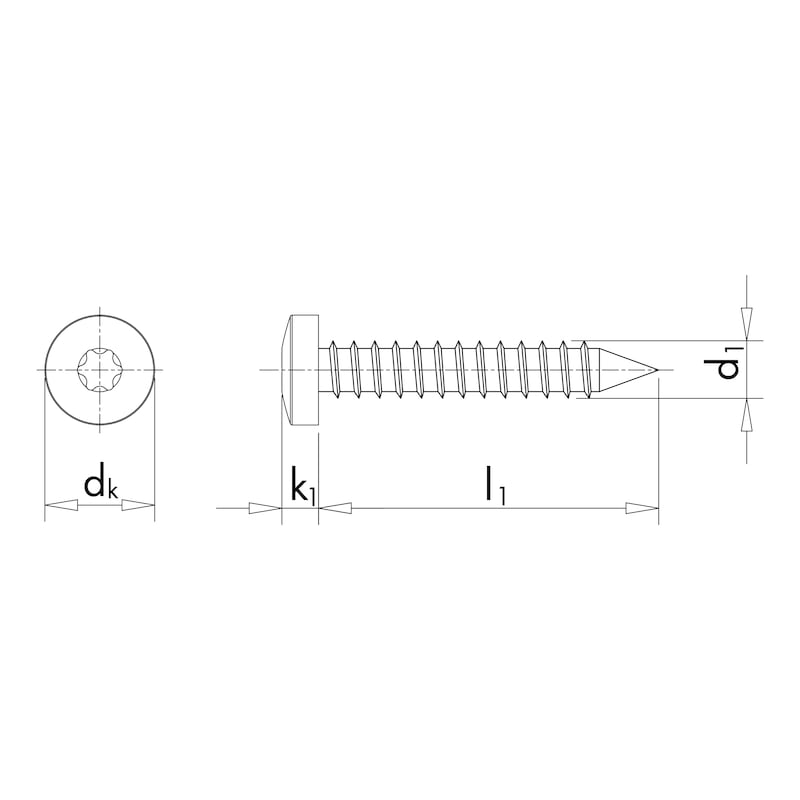 Linsen-Blechschraube, Edelstahl A2, 4,8X19 mm