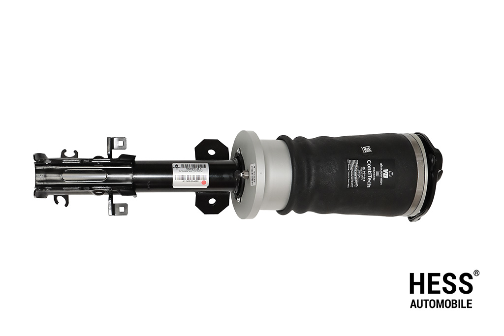 Air Suspension front strut