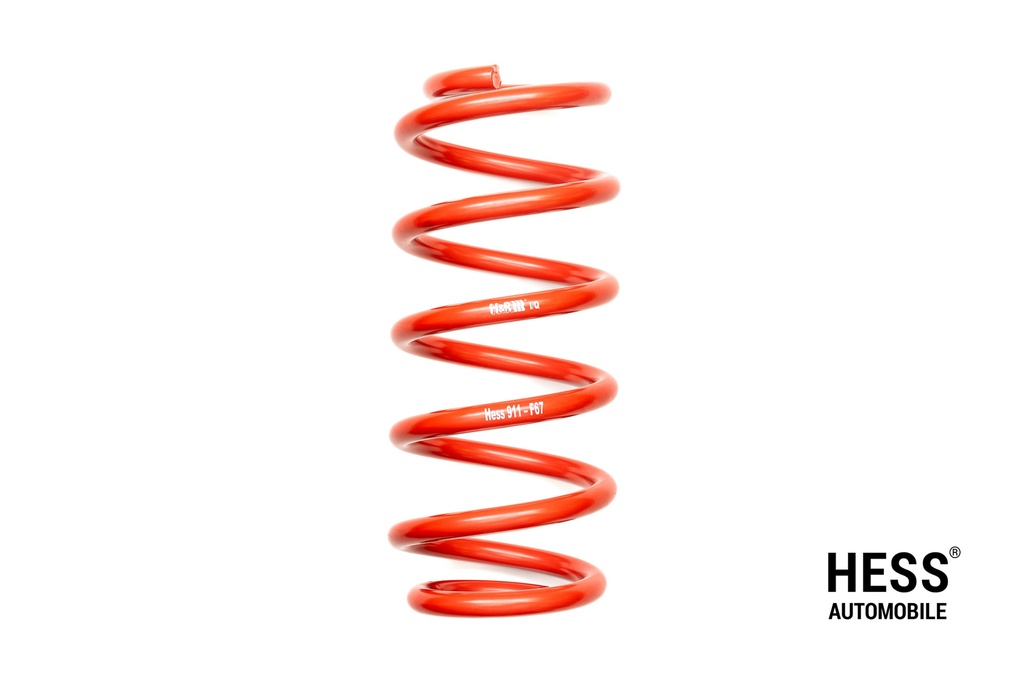 VW ID Buzz Federn hinten +30mm