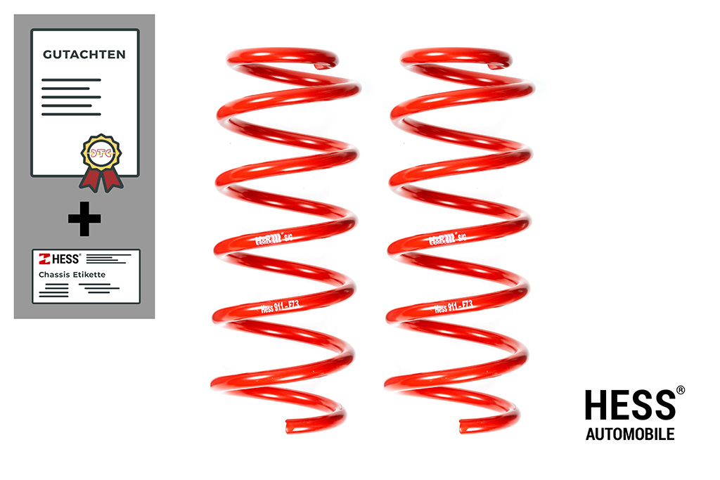 Auflastung Custom, Transporter Achslast 2 1950kg +175kg (Kopie)