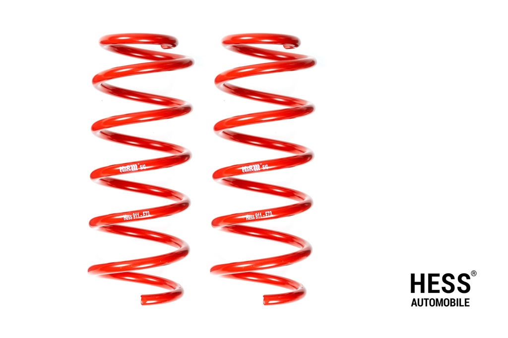 Auflastung VW Transporter, Ford Custom – Achslast 1: 1'750 kg