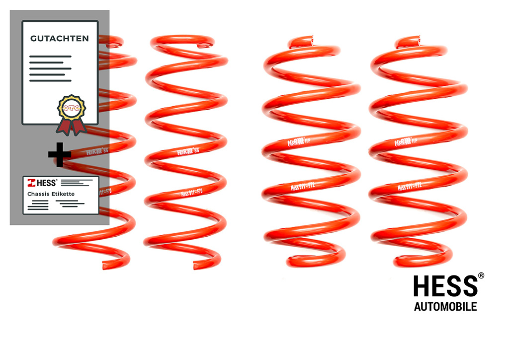 Auflastung Custom, Transporter Achslast 1. 1'750kg (Kopie)