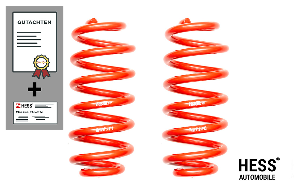 Auflastung VW T7 Transporter, Ford Custom – Achslast 2: 1950kg +650 kg (Kopie)