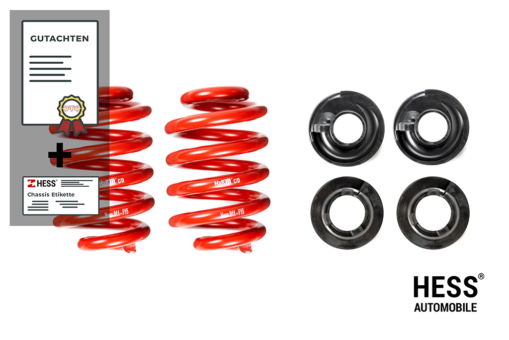 Hess Federsatz zur Auflastung der Hinterachse bis 1950kg des VW T5/T6/T6.1