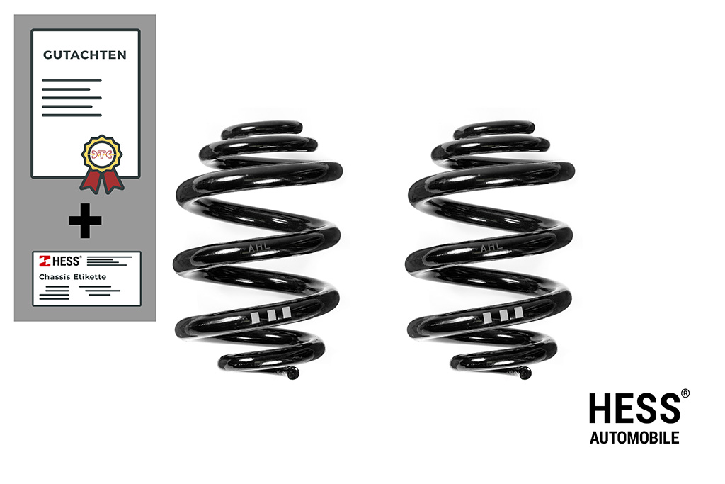 Auflastungskit für die Hinterachse bis 1720kg mit verstärkten Federn für den T5 bis T6.1 California