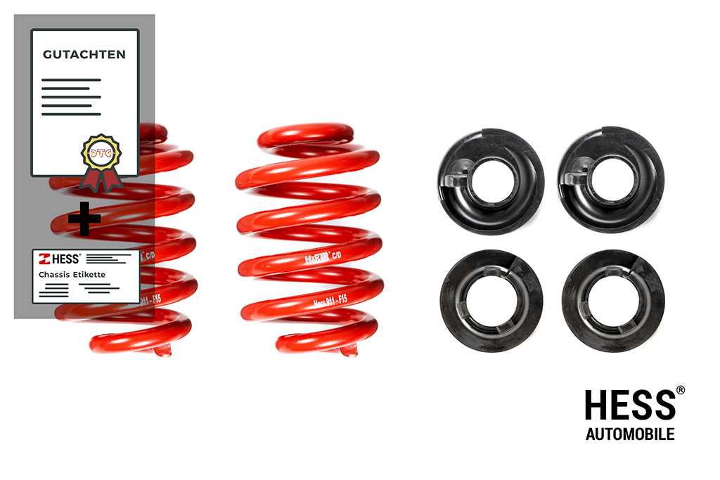 Hess Federsatz zur Auflastung der Hinterachse bis 1720kg des VW T5/T6/T6.1
