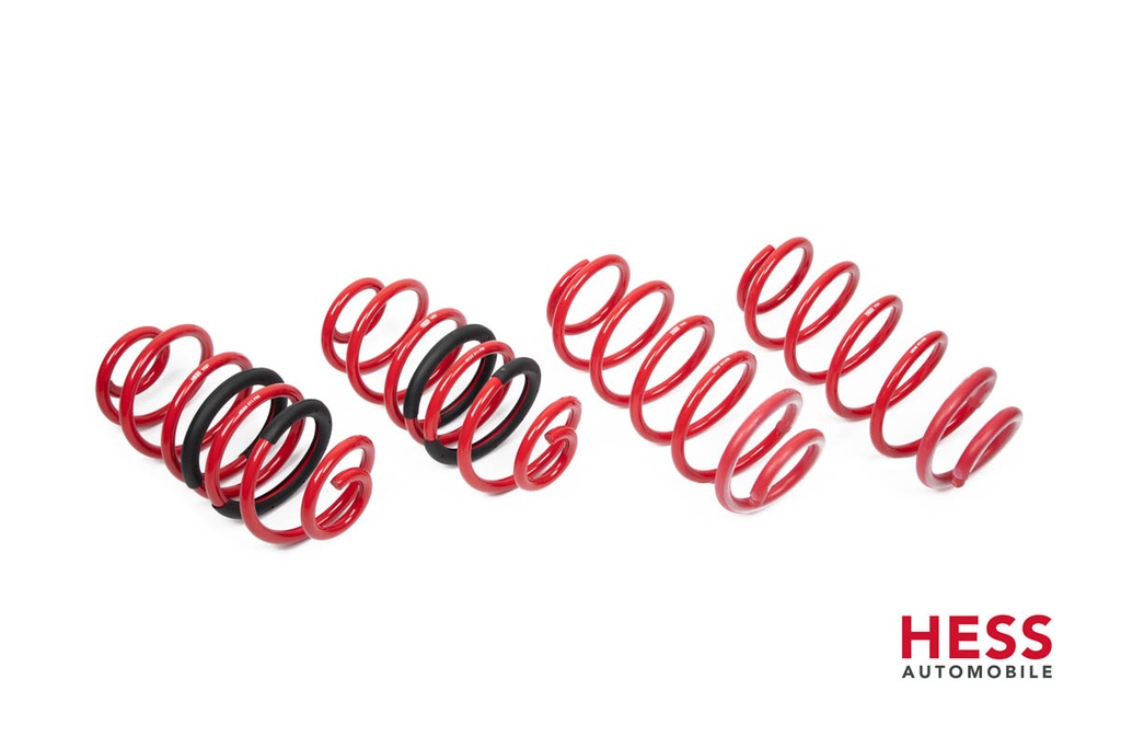HESS Federn für Höherlegung und Verstärkung der Hinterachse beim Mercedes Vito/Viano/V-Klasse (mittlere Beladung)
