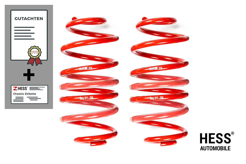 Hess Federsatz zur Auflastung der Hinterachse bis 1'950kg des Mercedes-Benz Viano/Vito/V-Klasse