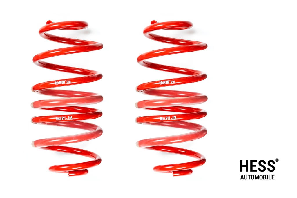 Hess Federsatz zur Auflastung der Hinterachse bis 1'950kg des Mercedes-Benz Viano/Vito/V-Klasse